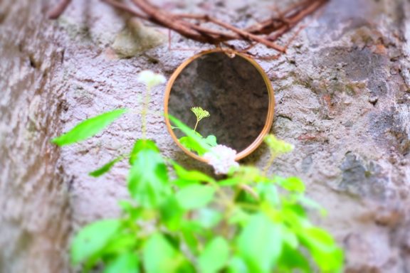 la-templiere-saint-lizier-miroir-jardin